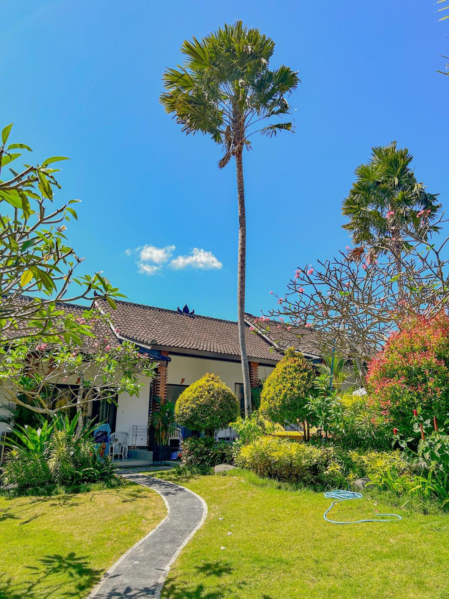 Lemon Guest House Canggu  Exterior photo